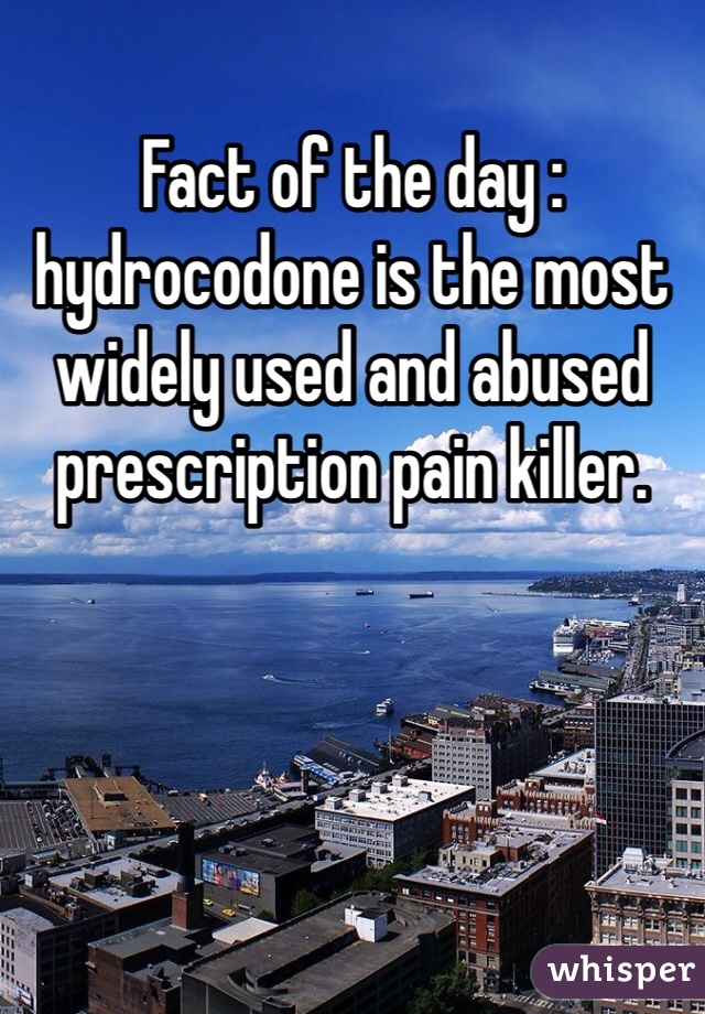 Fact of the day : hydrocodone is the most widely used and abused prescription pain killer.