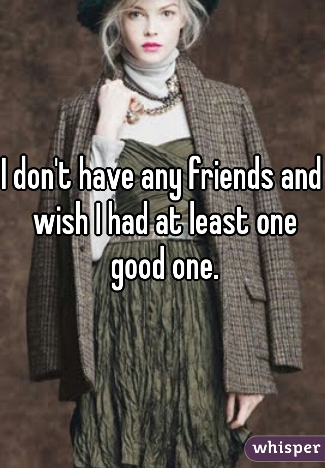 I don't have any friends and wish I had at least one good one.