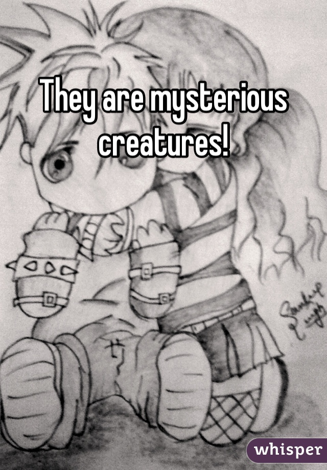 They are mysterious creatures!