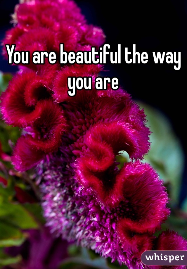 You are beautiful the way you are