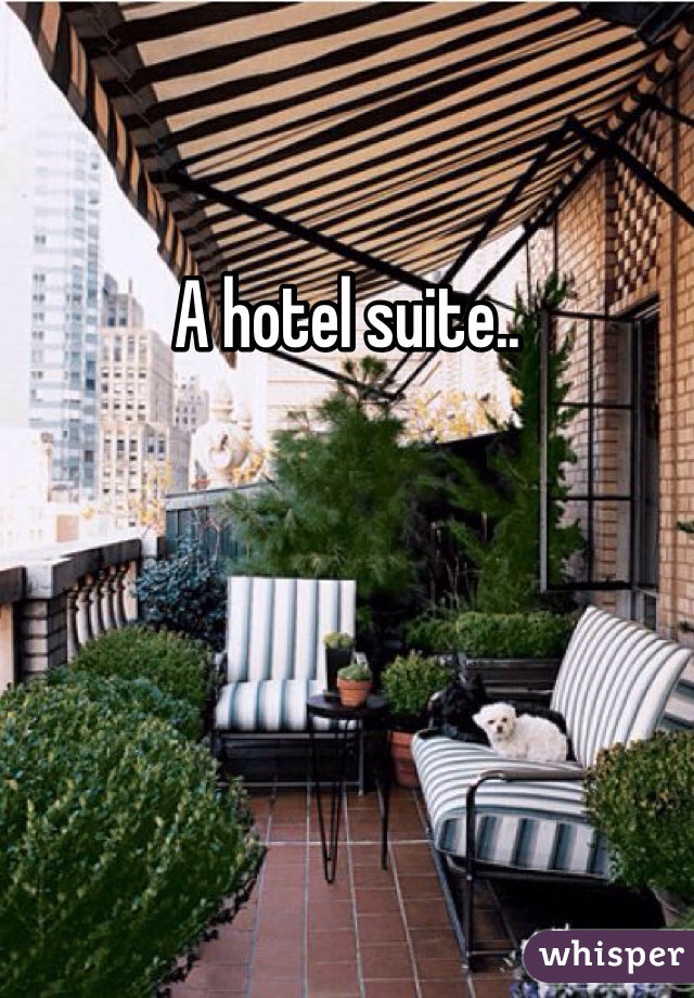 A hotel suite..