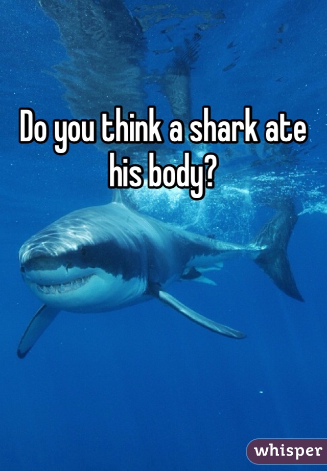 Do you think a shark ate his body?
