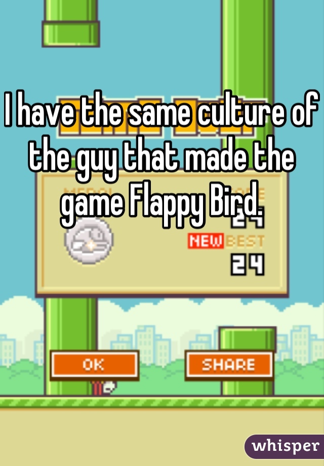 I have the same culture of the guy that made the game Flappy Bird.