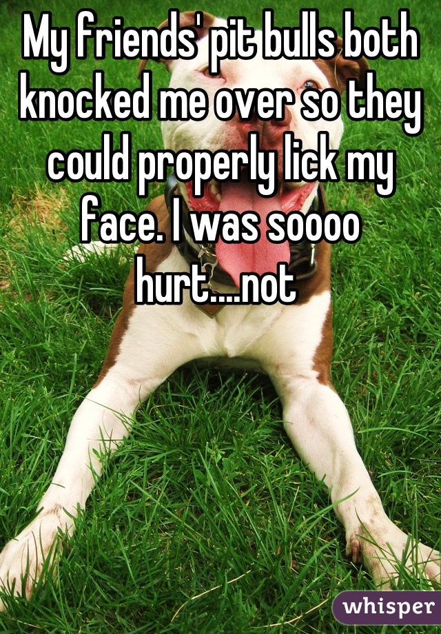My friends' pit bulls both knocked me over so they could properly lick my face. I was soooo hurt....not 