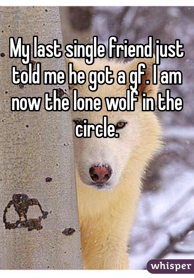 My last single friend just told me he got a gf. I am now the lone wolf in the circle. 