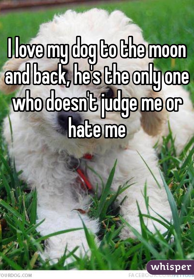 I love my dog to the moon and back, he's the only one who doesn't judge me or hate me