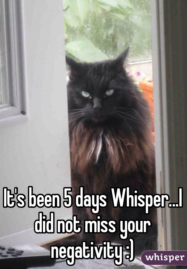 It's been 5 days Whisper...I did not miss your negativity :) 
