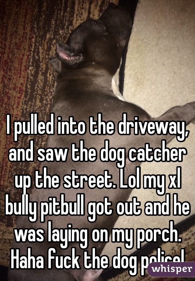 I pulled into the driveway, and saw the dog catcher up the street. Lol my xl bully pitbull got out and he was laying on my porch. Haha fuck the dog police!