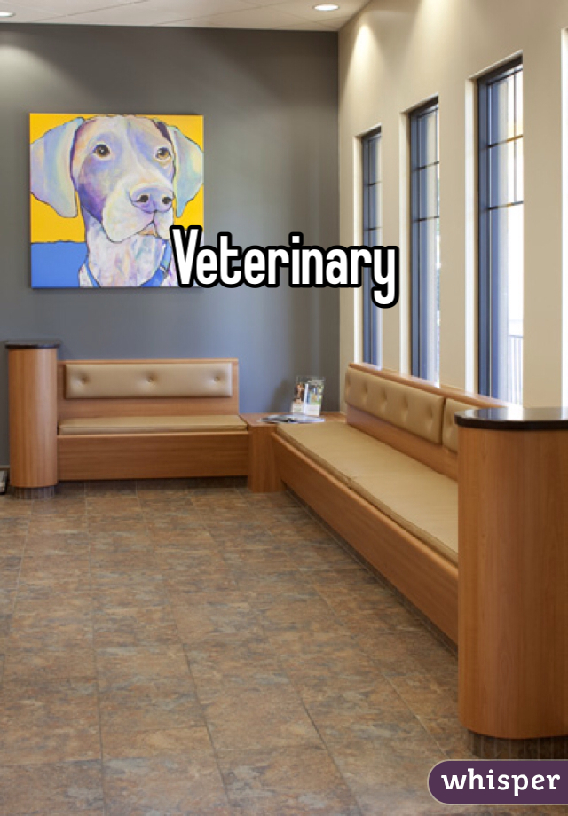 Veterinary 