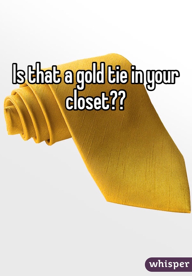 Is that a gold tie in your closet?? 