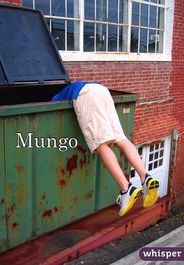 Mungo
