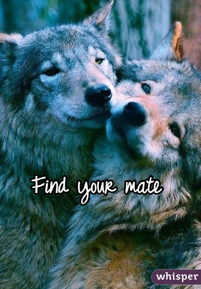 Find your mate