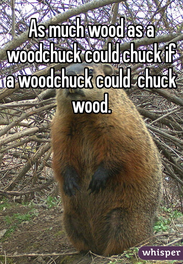 As much wood as a woodchuck could chuck if a woodchuck could  chuck wood.