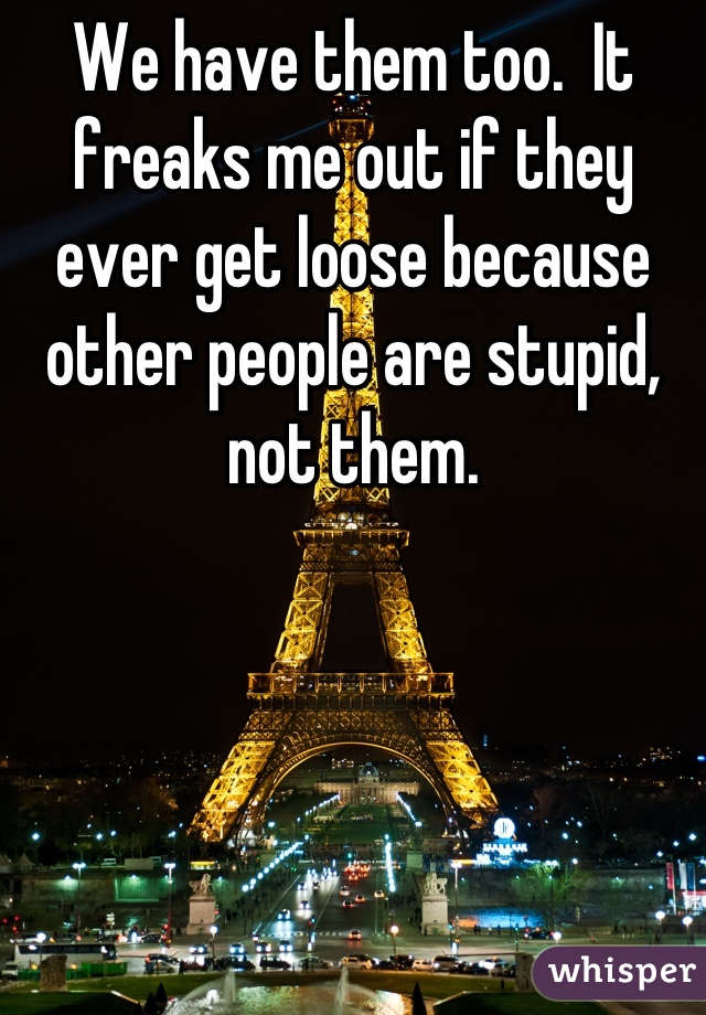 We have them too.  It freaks me out if they ever get loose because other people are stupid, not them.