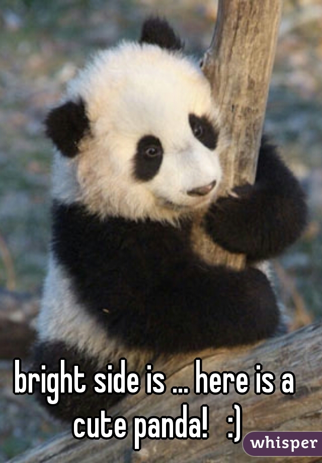 bright side is ... here is a cute panda!   :)