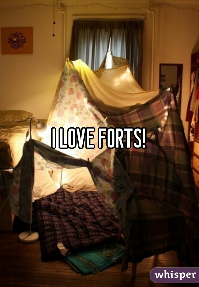 I LOVE FORTS!