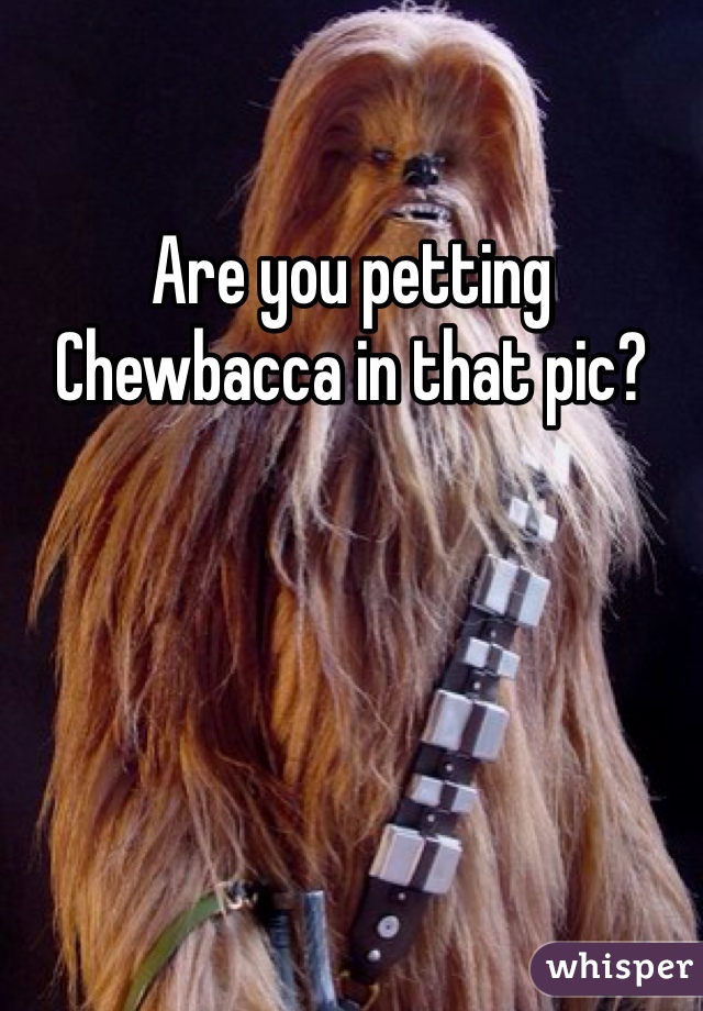 Are you petting Chewbacca in that pic?