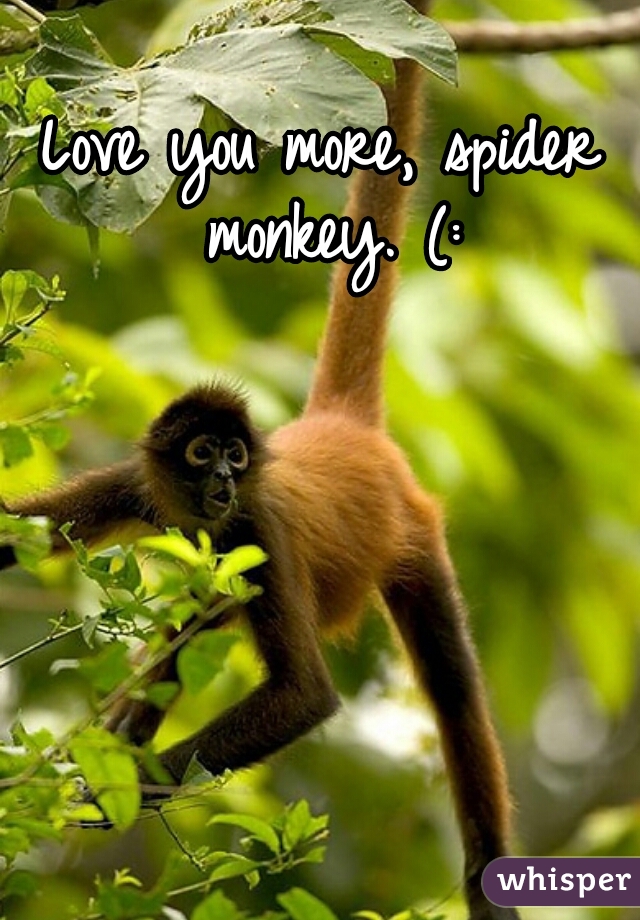 Love you more, spider monkey. (: