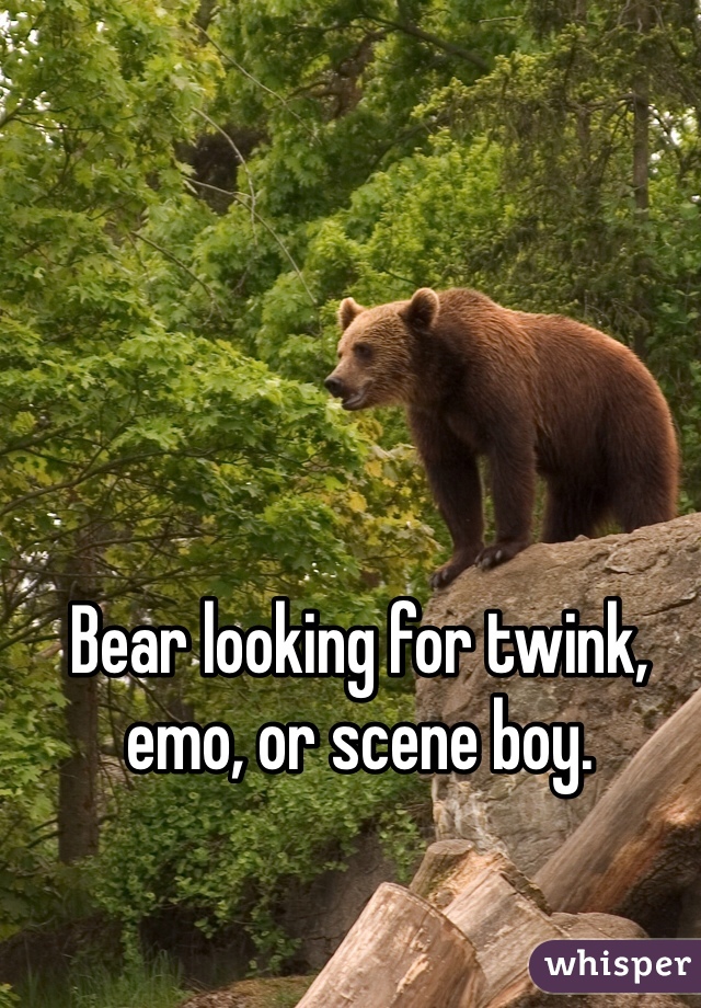 Bear looking for twink, emo, or scene boy. 