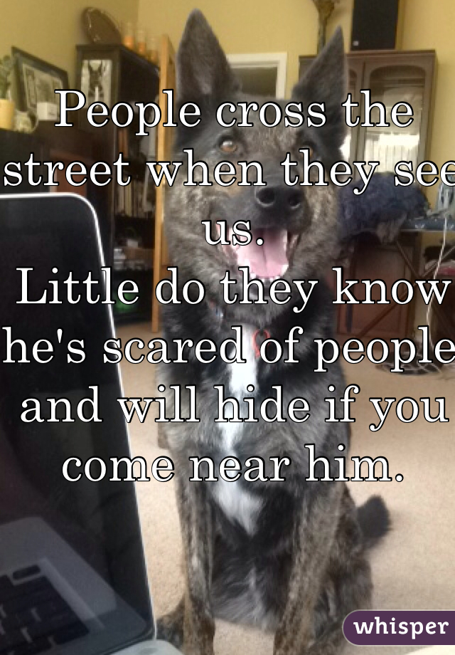 People cross the street when they see us. 
Little do they know he's scared of people and will hide if you come near him.