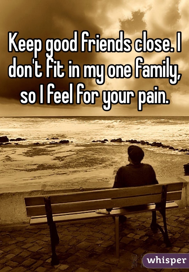 Keep good friends close. I don't fit in my one family, so I feel for your pain. 