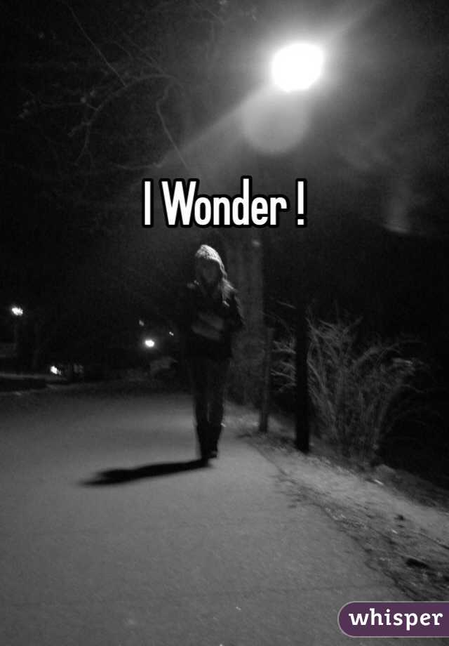 I Wonder !