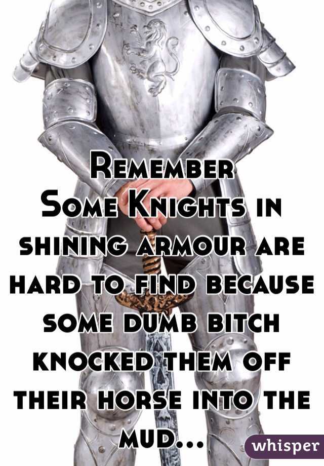 Remember
Some Knights in shining armour are hard to find because some dumb bitch knocked them off their horse into the mud...
