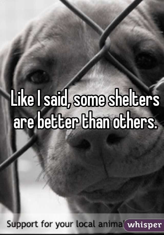 Like I said, some shelters are better than others. 