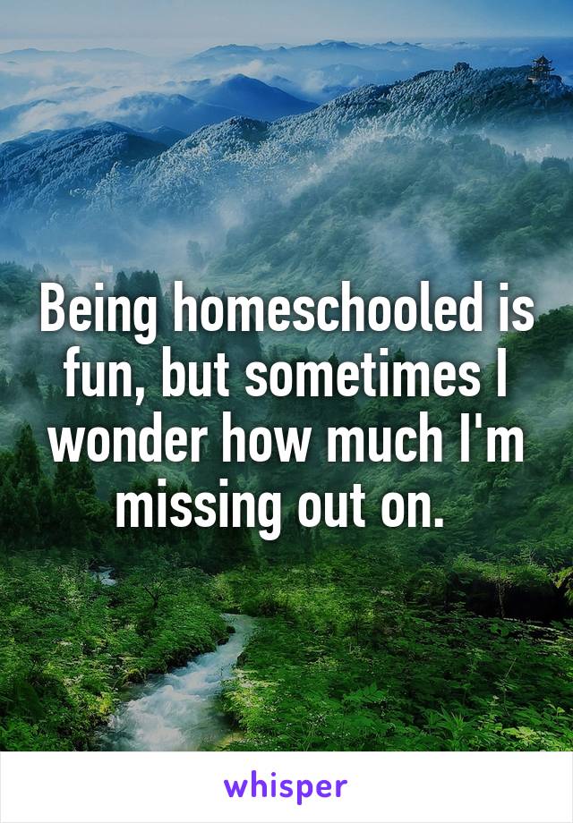 Being homeschooled is fun, but sometimes I wonder how much I'm missing out on. 
