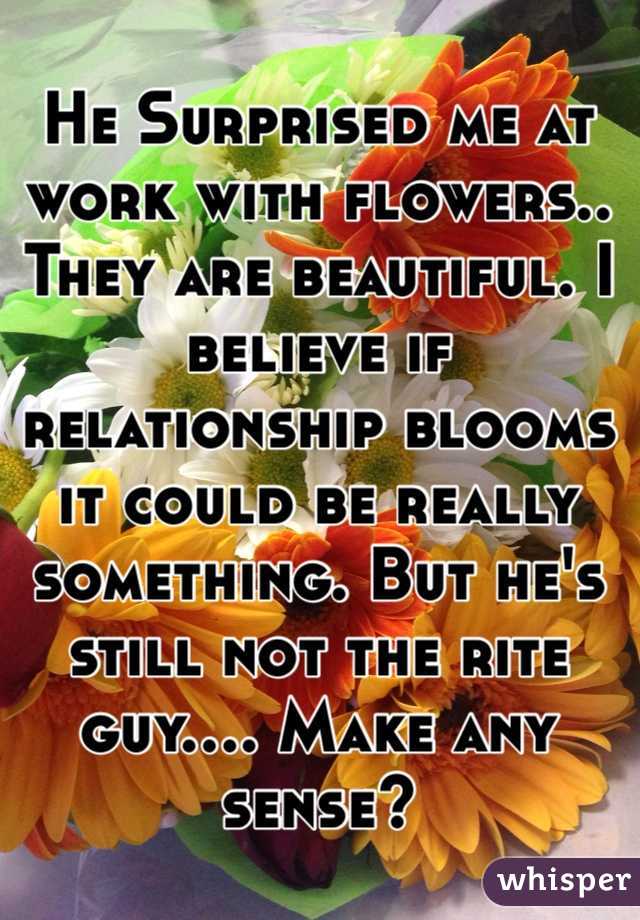 He Surprised me at work with flowers.. They are beautiful. I believe if relationship blooms it could be really something. But he's still not the rite guy.... Make any sense? 