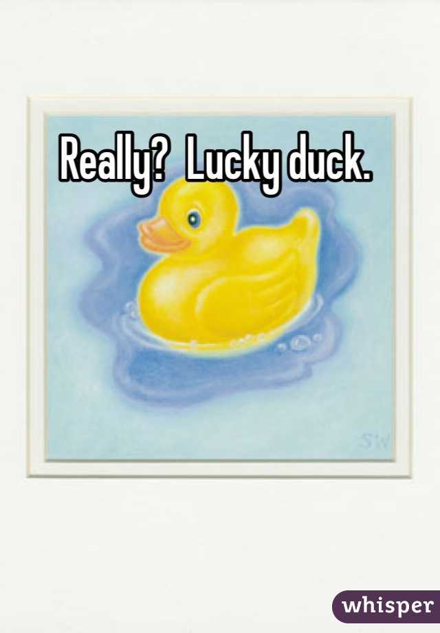 Really?  Lucky duck. 