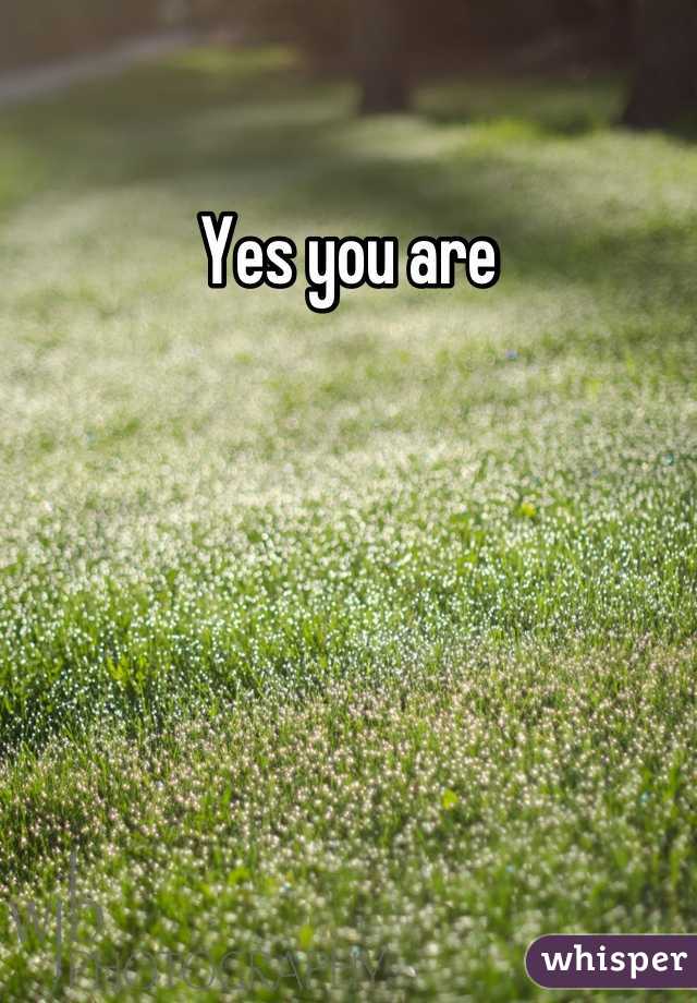 Yes you are