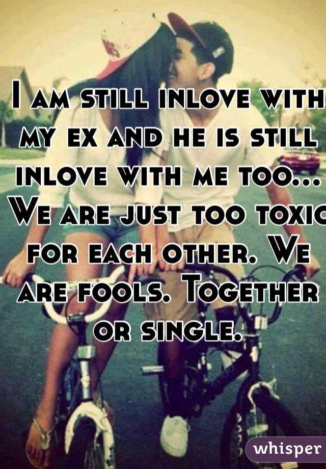 I am still inlove with my ex and he is still inlove with me too... We are just too toxic for each other. We are fools. Together or single.