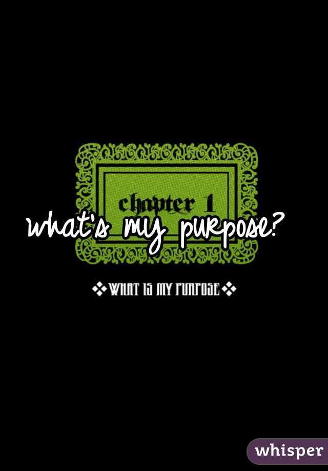 what's my purpose? 