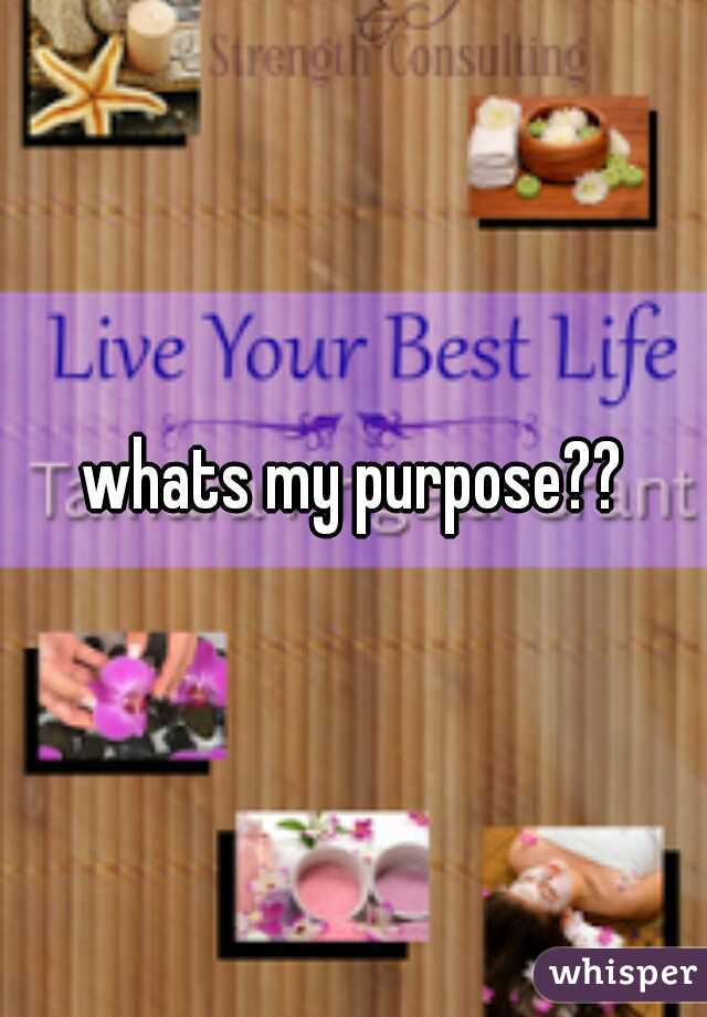 whats my purpose??