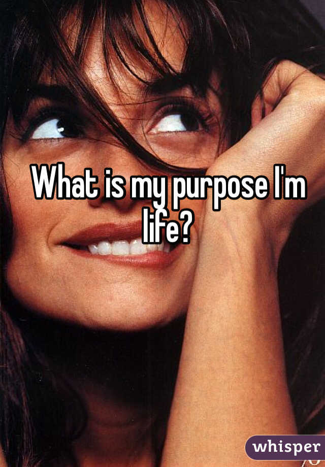 What is my purpose I'm life?