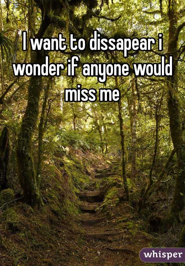 I want to dissapear i wonder if anyone would miss me 