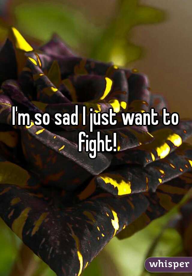 I'm so sad I just want to fight!