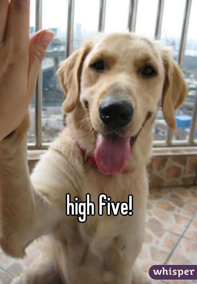 high five!