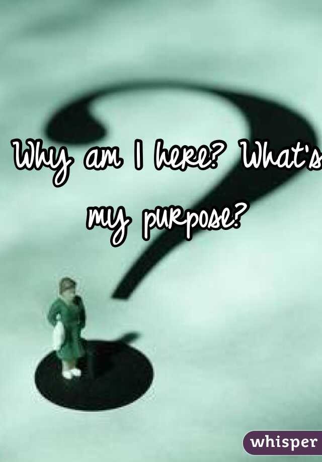 Why am I here? What's my purpose?
