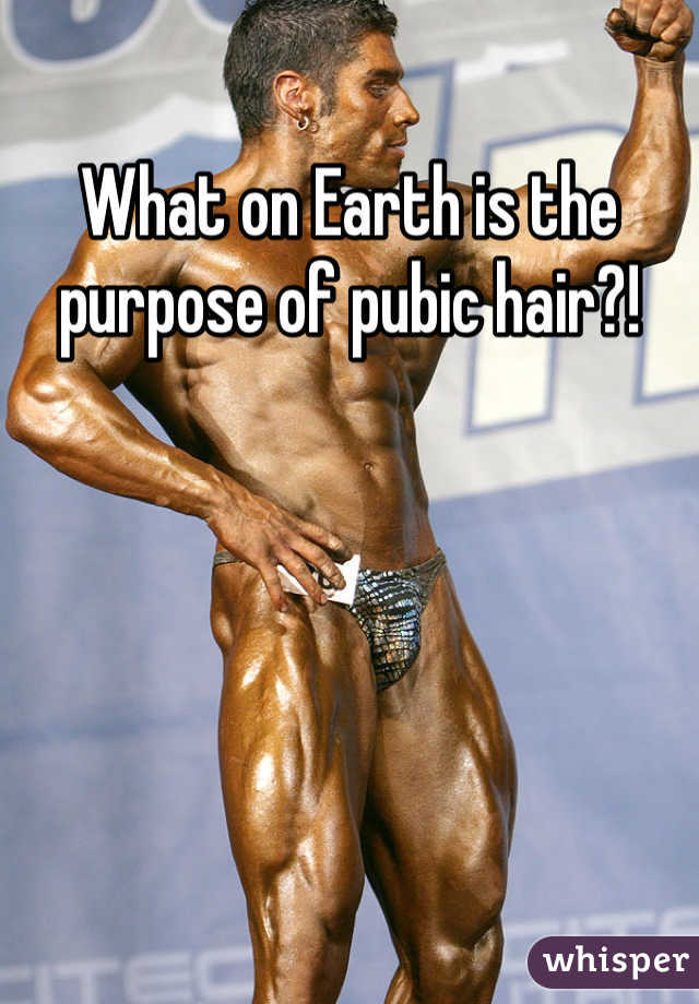 What on Earth is the purpose of pubic hair?!