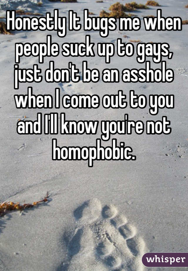 Honestly It bugs me when people suck up to gays, just don't be an asshole when I come out to you and I'll know you're not homophobic.