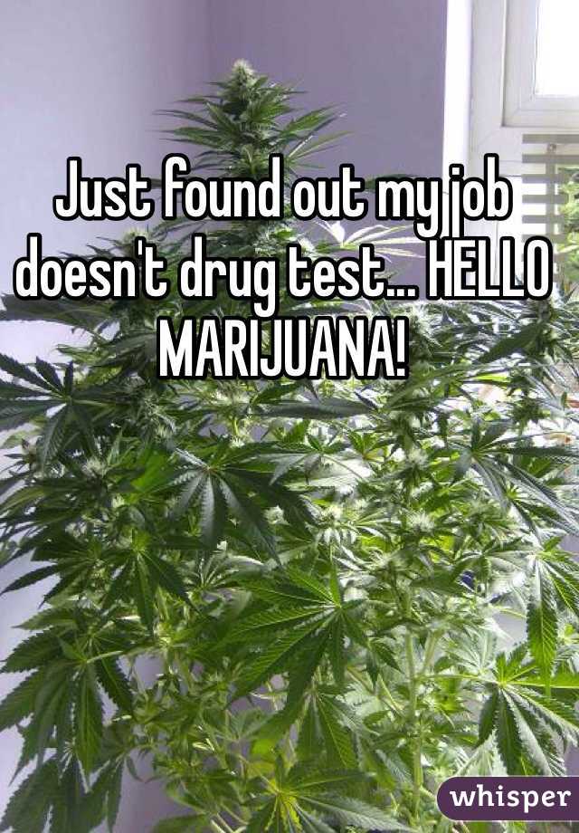 Just found out my job doesn't drug test... HELLO MARIJUANA!