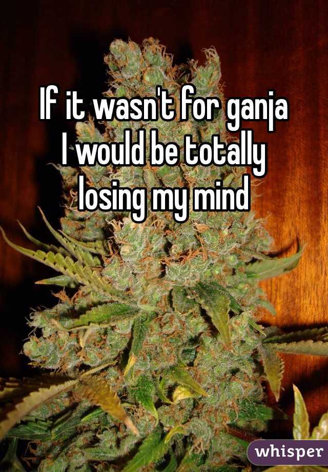 If it wasn't for ganja
I would be totally
losing my mind