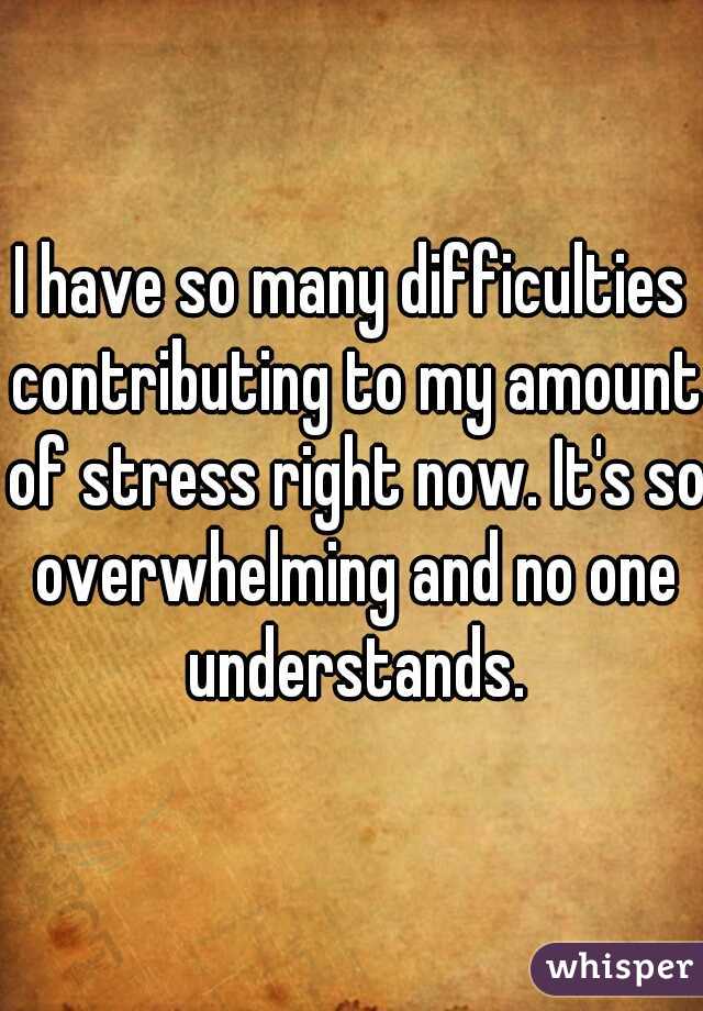 I have so many difficulties contributing to my amount of stress right now. It's so overwhelming and no one understands.