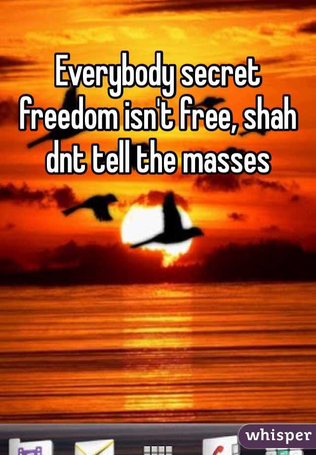 Everybody secret freedom isn't free, shah dnt tell the masses