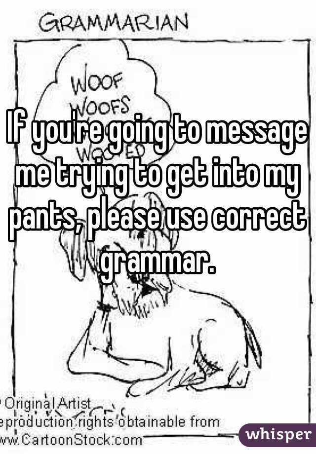 If you're going to message me trying to get into my pants, please use correct grammar. 