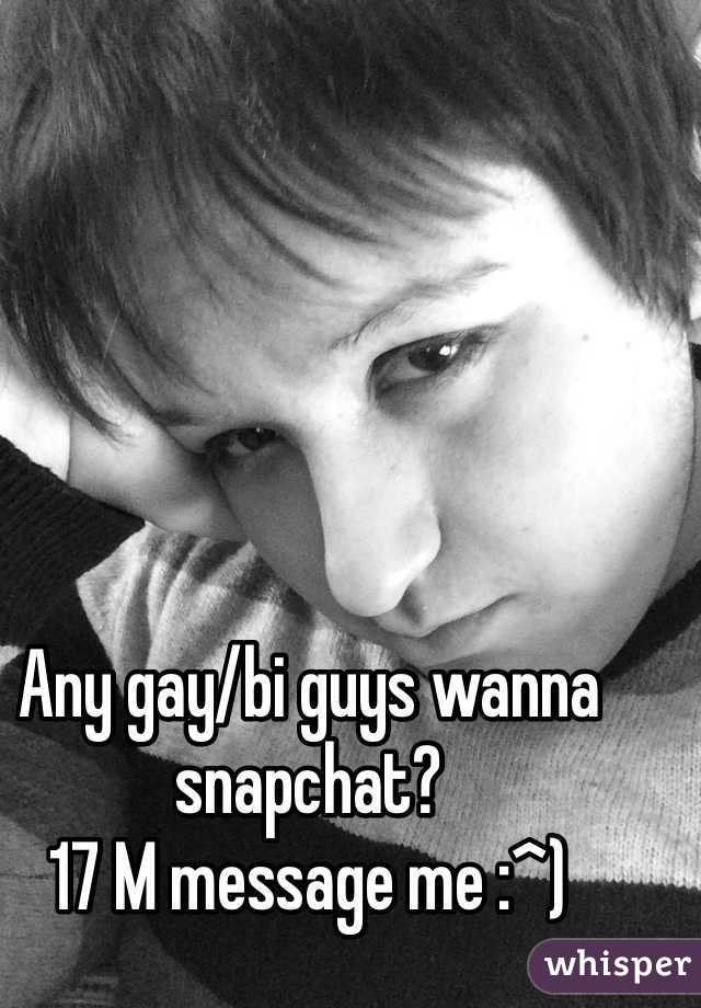 Any gay/bi guys wanna snapchat?
17 M message me :^)