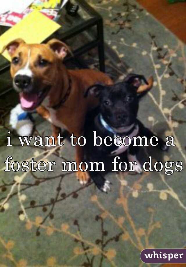 i want to become a foster mom for dogs