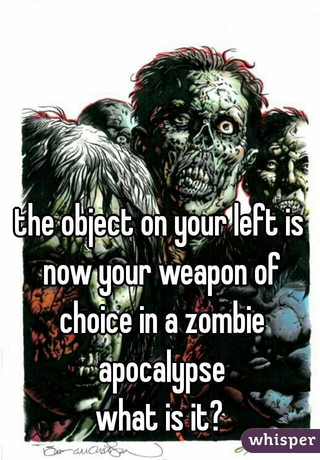 the object on your left is now your weapon of choice in a zombie apocalypse

what is it?